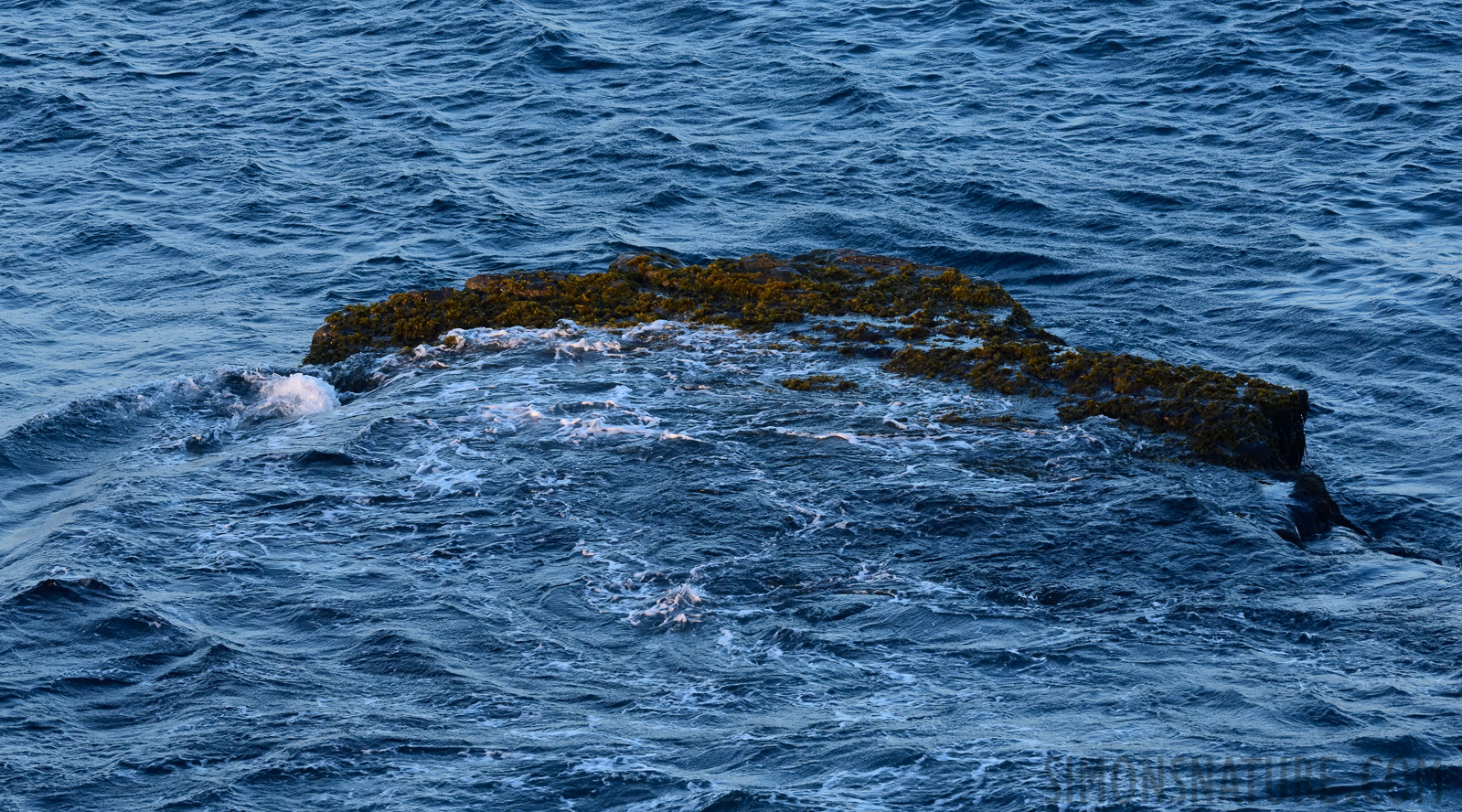 Elliston [250 mm, 1/160 sec at f / 16, ISO 4000]